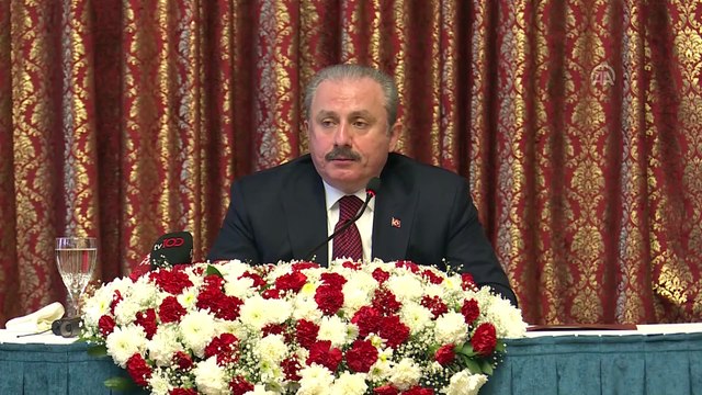 Şentop: 'Çocuklarla ilgili dünyada bir gün, bir hafta belirlenecekse bu konuda Türkiye'nin bir önceliği olması gerekir diye düşünüyoruz' - TBMM