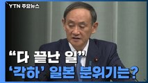 위안부 합의 헌법소원 '각하' 결정에...일본 언론 반응 / YTN