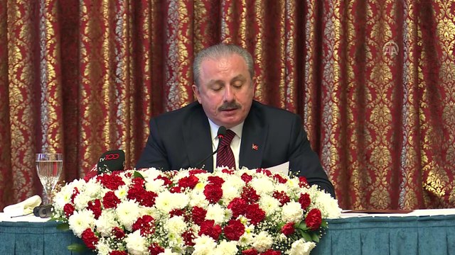 Şentop: 'Parlamento ekseninde şekillenen almanaklar hazırlıyoruz ' - TBMM