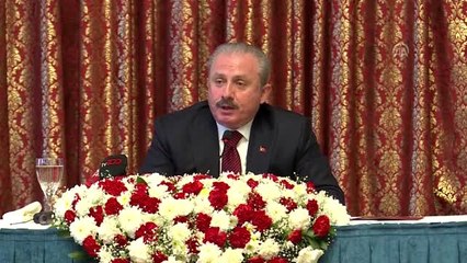 Şentop: "Parlamento ekseninde şekillenen almanaklar hazırlıyoruz "