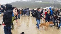 UK swimmers brave chilly temperatures as they take Boxing Day dip in Cornwall