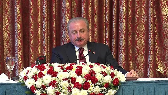 TBMM Başkanı Şentop - Cumhurbaşkanlığı Hükümet Sistemi - TBMM