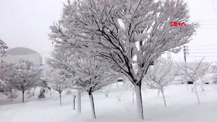Bitlis'te kar yağışı 28 köy yolu ulaşıma kapandı