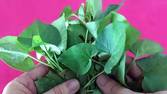 Đắp mặt nạ 30 phút mỗi ngày để da trắng mịn màng như da em bé