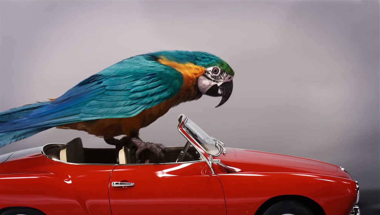 DOLITTLE  Película  - Audiciones