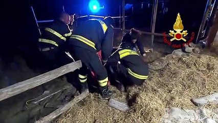 Castel San Pietro (BO) - Salvato un cavallo imprigionato nel fango (24.12.19)
