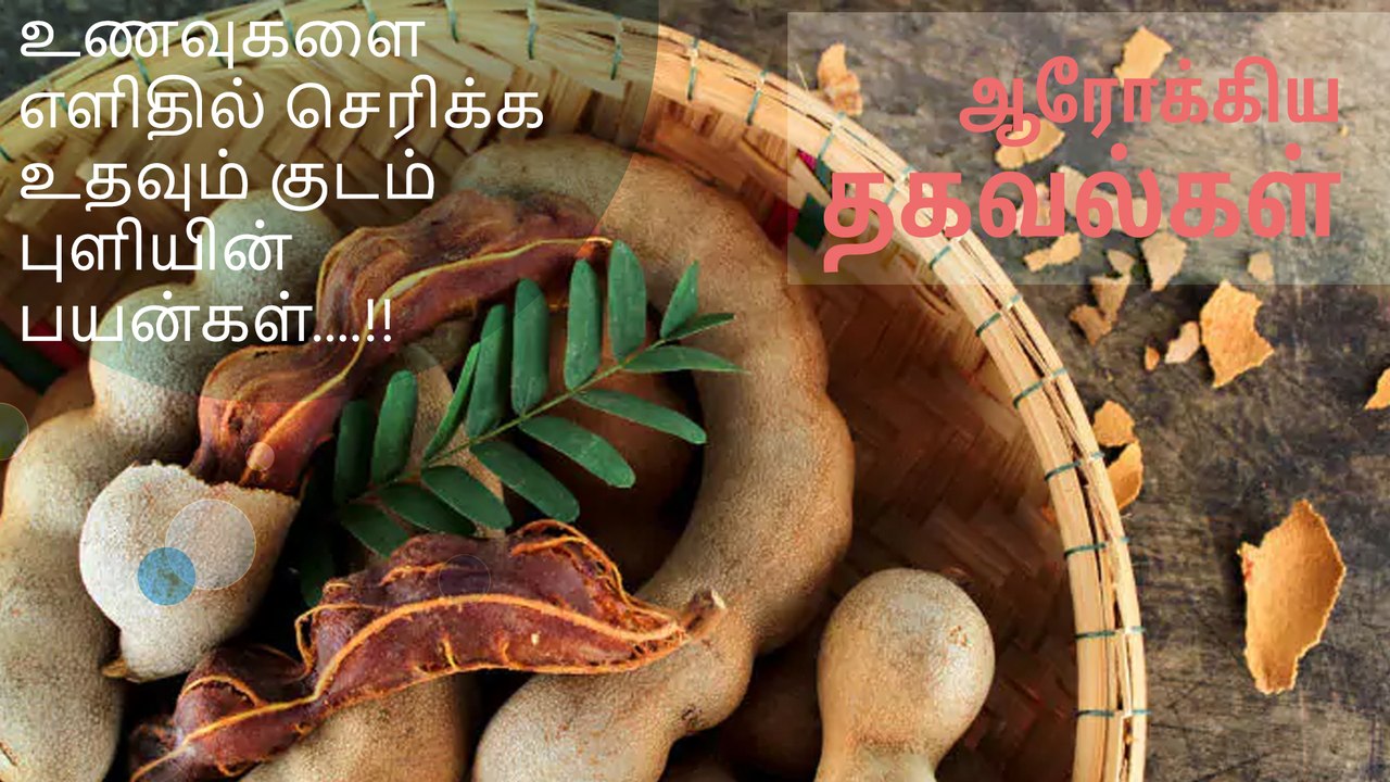 உணவுகளை எளிதில் செரிக்க உதவும் குடம் புளியின் பயன்கள்....!