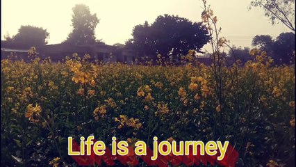 Struggle is real life.