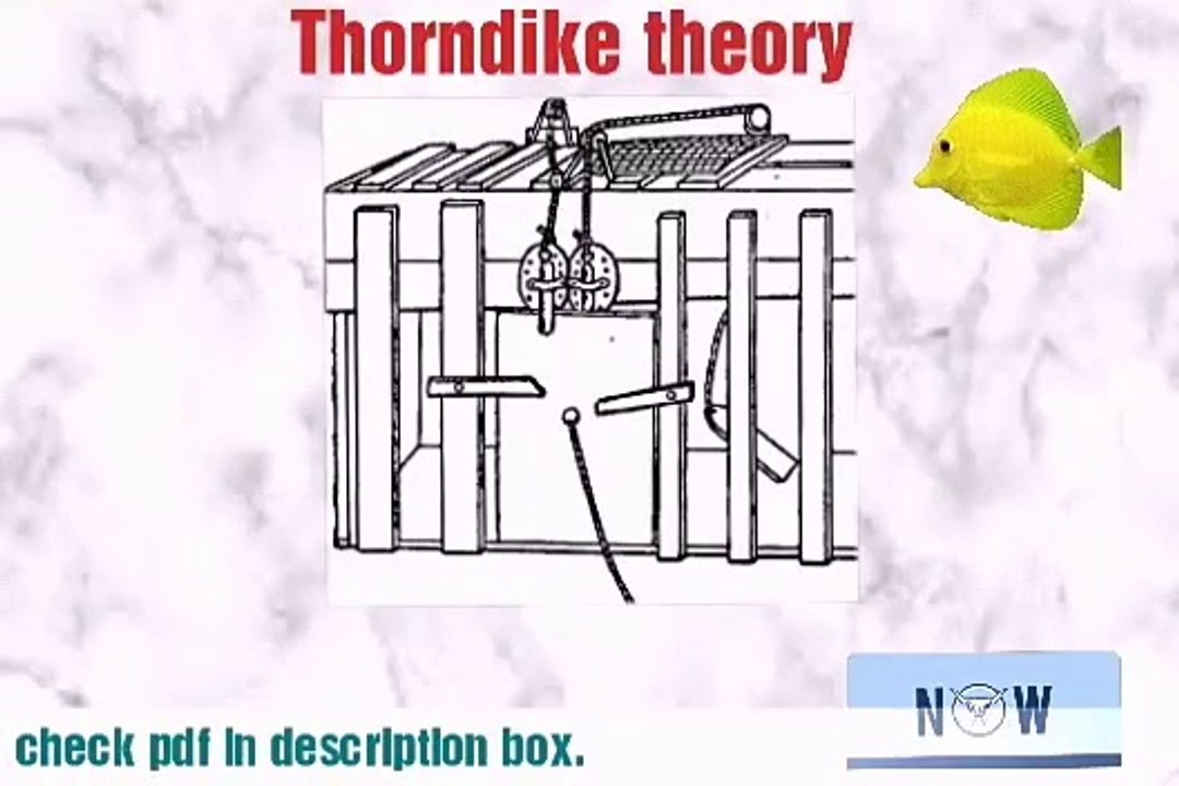 Thorndike theory of learning- b.ed theory- psychology theory- trial and error th