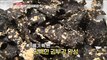 [TASTY] dried seaweed snack, 생방송오늘저녁 20191227