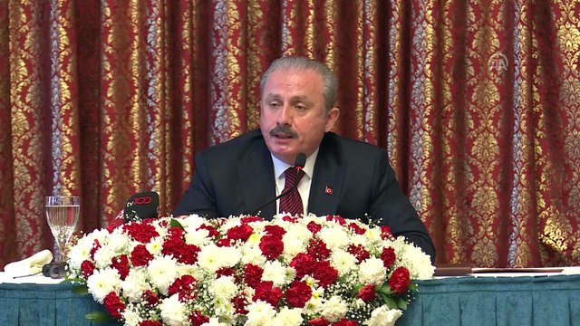 Şentop: 'TBMM'nin itibarı konusunda hiç kimsenin bir endişesi olmasın' - TBMM