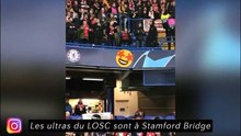 Les ultras du LOSC sont à Stamford Bridge
