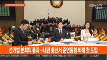 [뉴스초점] 선거법 본회의 통과…준연동형 비례 첫 도입