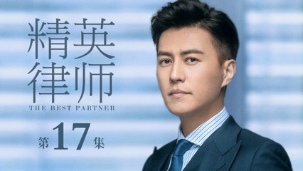 精英律師 17 | The Best Partner 17（靳東、藍盈瑩、孫淳等主演）