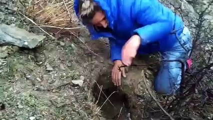 O iyi insanlar: Çukurda mahsur kalan köpek yavrularını yoldan geçen hayvansever kadın kurtardı