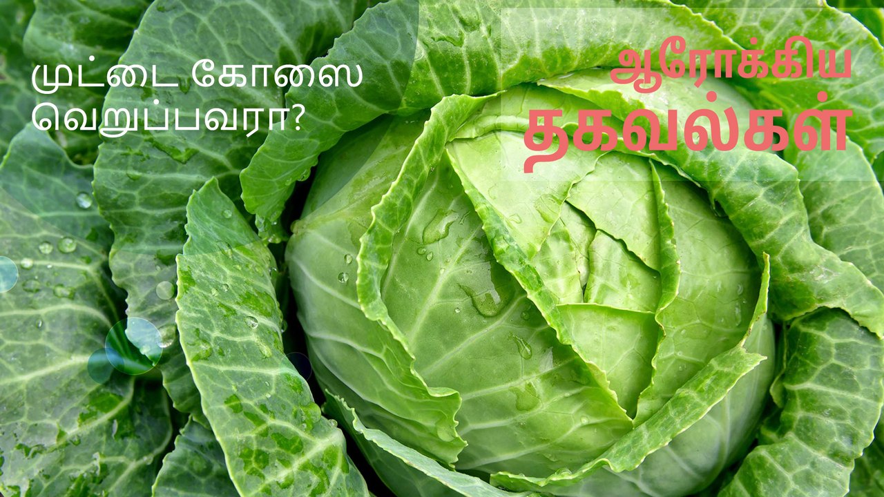 முட்டை கோஸை வெறுப்பவரா நீங்கள்?