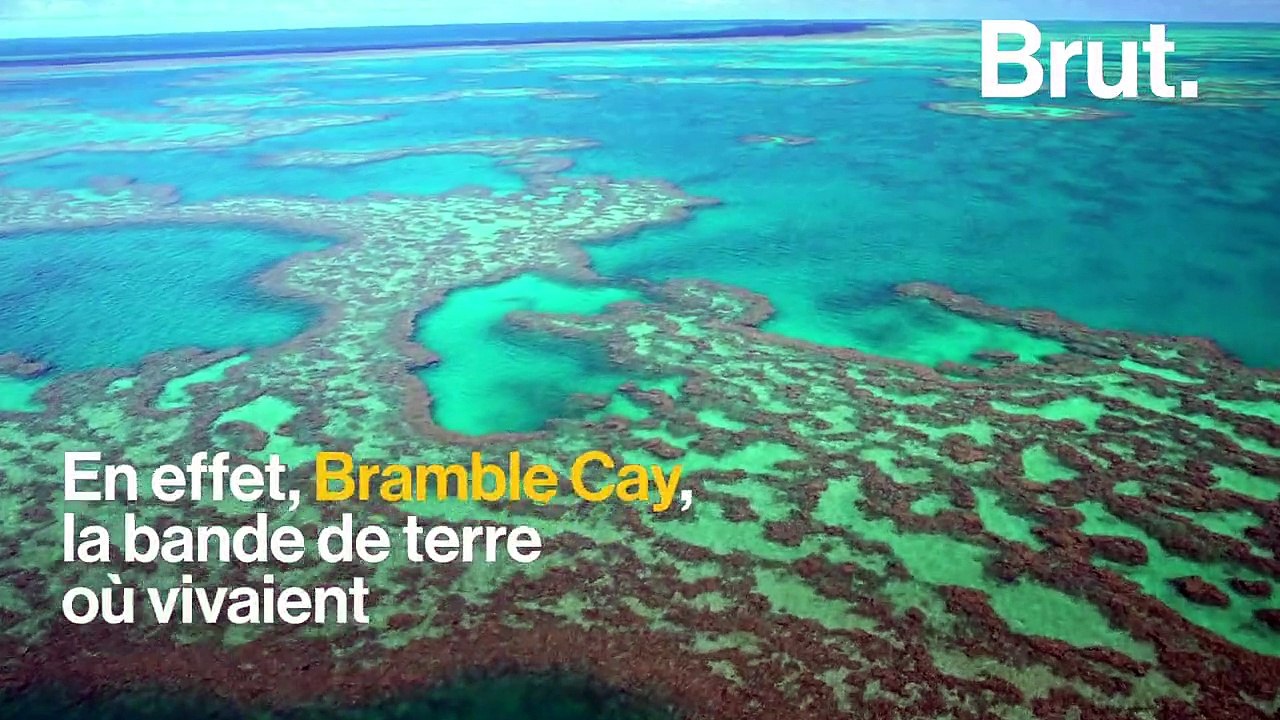 La tortue de Pinta, le ara de spix… Quatre espèces éteintes à l'état sauvage