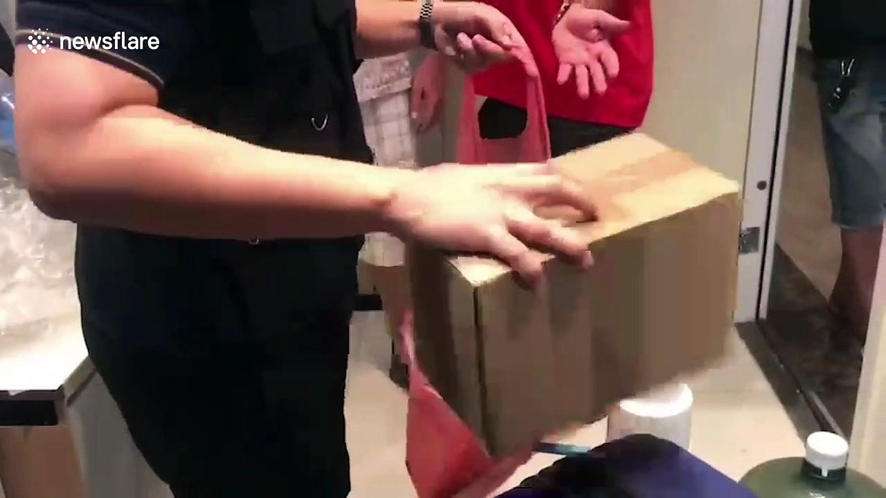 American pensioner faces 10 years in Thai jail after 'selling banned bodybuilding steroids'