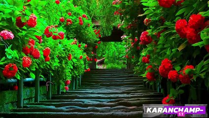 Love Shayari || DIL Me Sirf Apne Baste Hai || Romantic Shayari || LOVE STATUS♥ ||WHATSAPP STATUS
