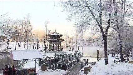Stunning footage shows ice formations adorning trees in northern China