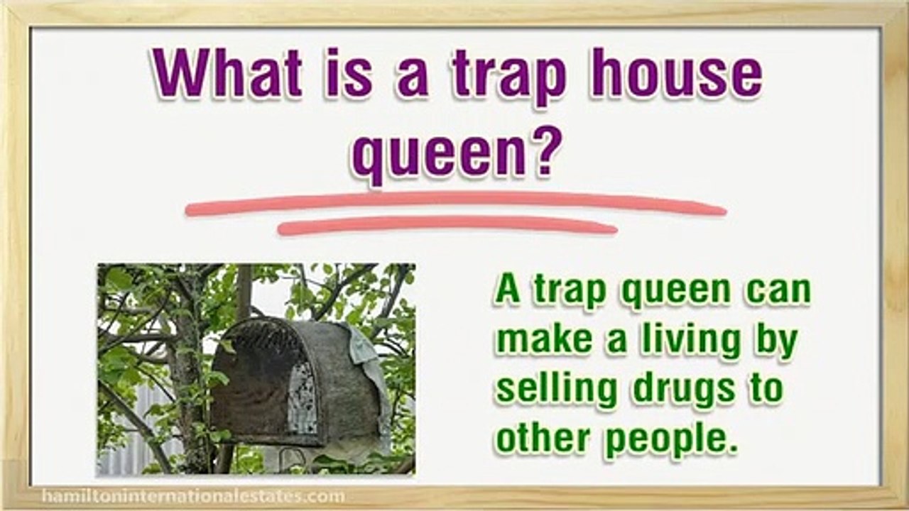 What is a trap house