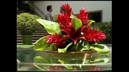 Feridas de Amor - Capitulo 22 (01.10.19)