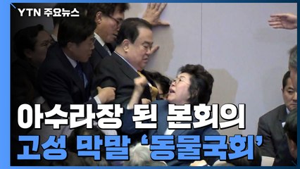 뒤엉키고 밀치고 본회의 아수라장...동물국회 정점 / YTN