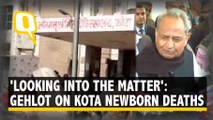 Rajasthan CM Ashok Gehlot on Death of Newborns in Kota: We Are Looking Into the Matter