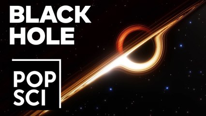 2019: Year of the Black Hole