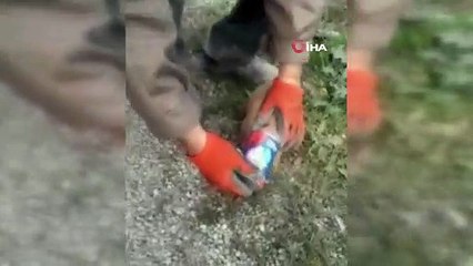 Havlayan köpeğin peşinden giden sürücüler gözlerine inanamadı