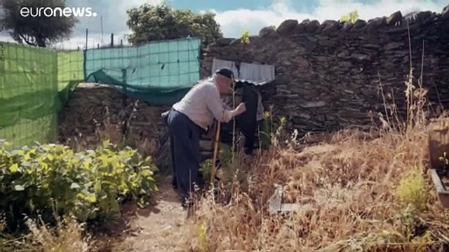 España congela las pensiones y retrasa la subida del salario mínimo hasta que haya Gobierno