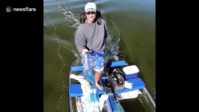 Christmay Day with playful jumping dolphins & friendly manatees on Florida coast