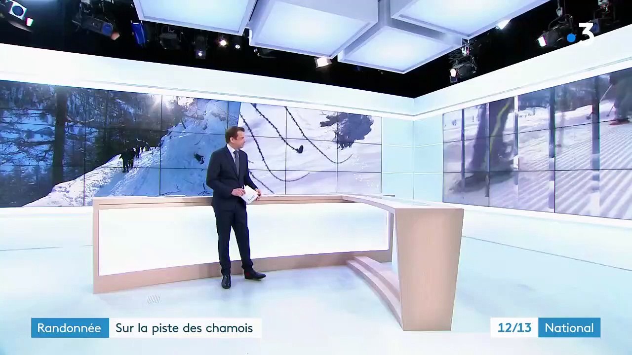 Montagne : une randonnée sur les traces des chamois