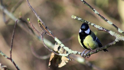 WEATHER: December 28th 2019