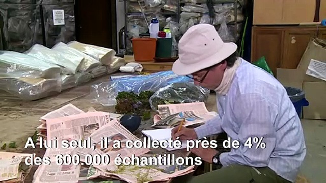 Face à la déforestation, un botaniste sauve la "mémoire verte" de la Colombie