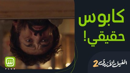 لا تخاف ولكن احذر من كوابيس نصف الليل  الفيل الأزرق2 متوفرة على شاهد بلس