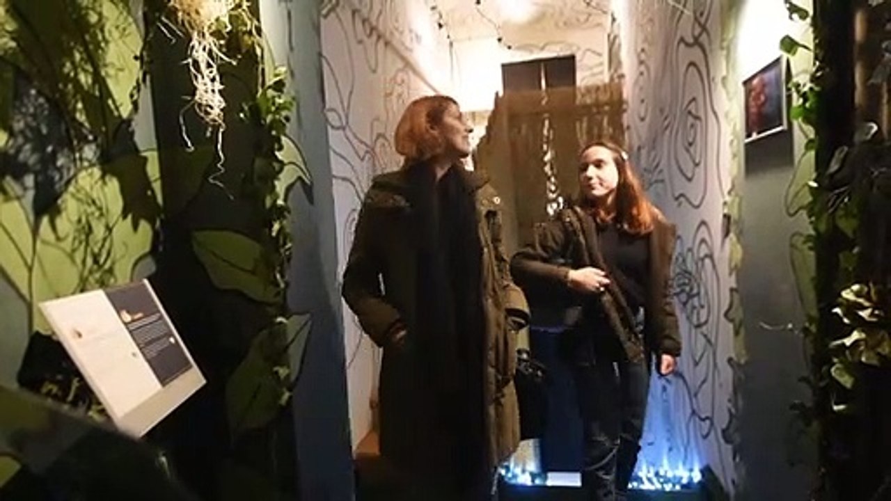 A Zagreb, un musée de la gueule de bois contre les trous noirs des nuits blanches