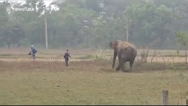 'Drunk' Indian man 'taking selfie' miraculously escapes elephant attack