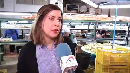 Recogida a contrarreloj de uvas para llegar a las campanadas