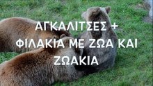 Ζωάκια - αγκαλίτσες και φιλάκια