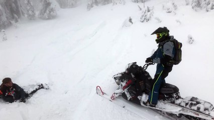 Snowmobile Stopped in its Tracks