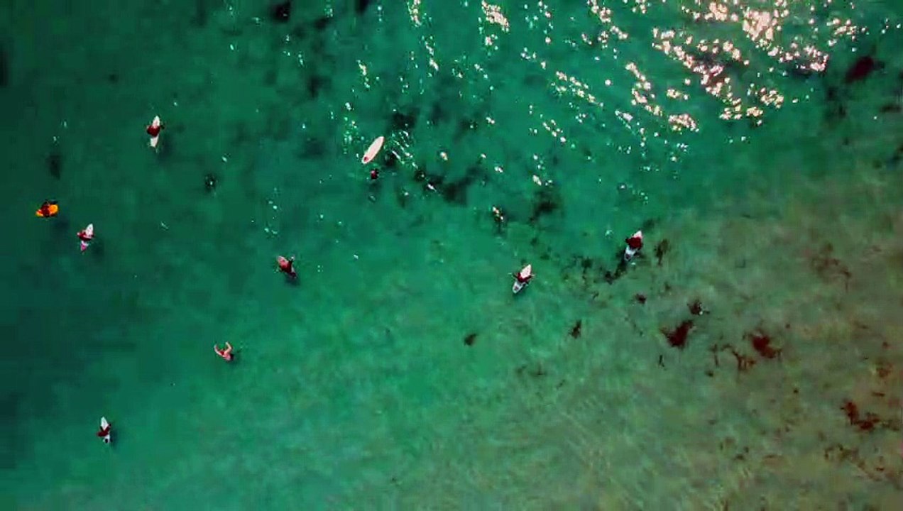 Taryn Elliott - A Group Of Surfers On The Sea - Nature (No Copyright Video 111) [4K]