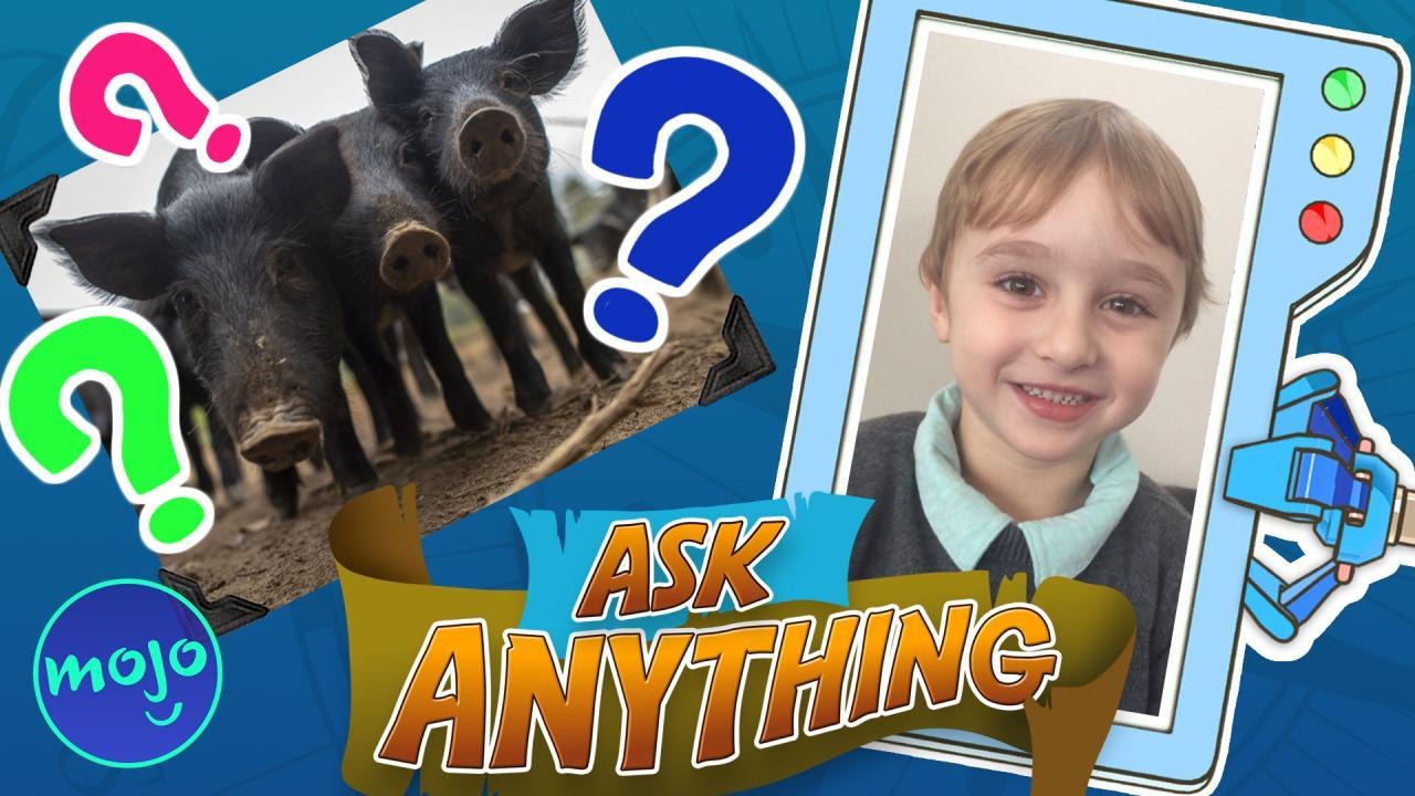 Which Animal Eats The Most?