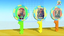 Learn Colors with -wrong Key Animals and Cage Cartoon for Children