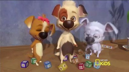 Mascotas en el Espacio La Familia - Luces, Cámara y Acción Español Latino