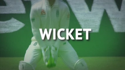 Broad strikes to wrap up South Africa innings