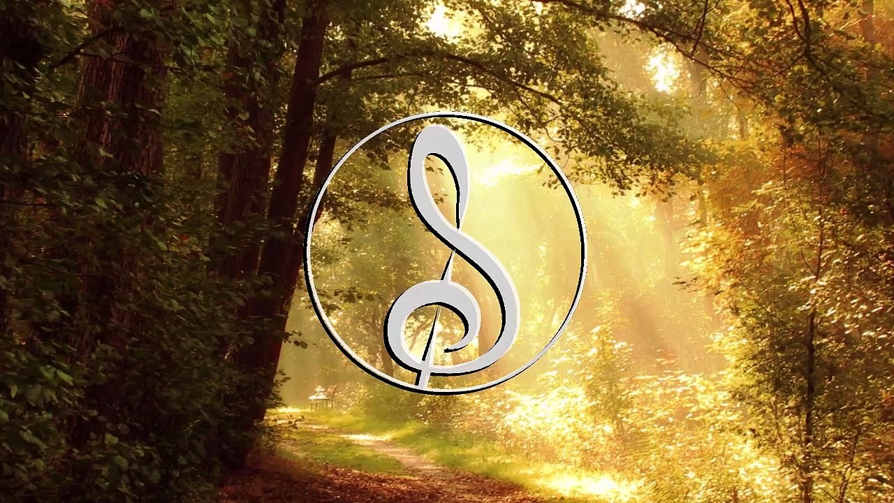 'woods' - dkoolmusic