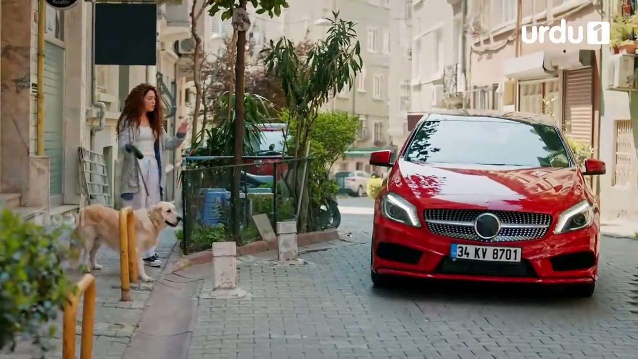 Emergency Pyar New Episode 16 Turkish Drama - Urdu or Hindi