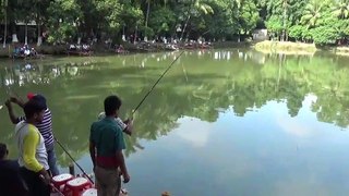 Fishing videos  fish hunting