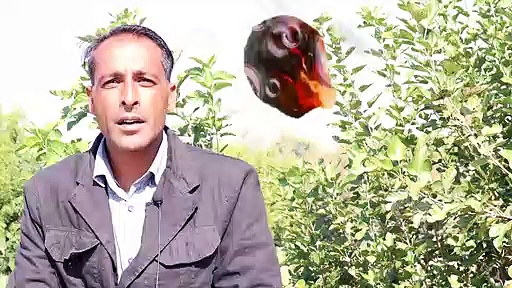 kappu tec